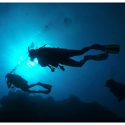 Deep Diver
